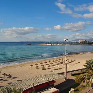 Delfin Playa de Palma (Mallorca)